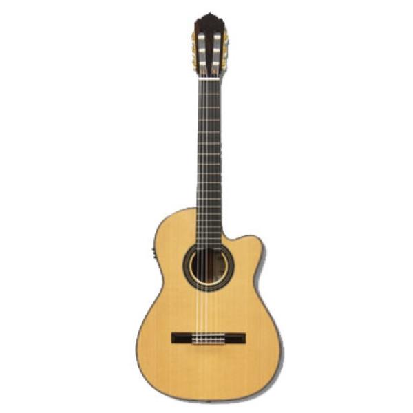 アストリアス エレガットギター SOLO CLASSICO C ASTURIAS