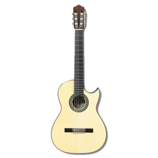 アストリアス エレガットギター SOLO CLASSICO PREMIO S ASTURIAS