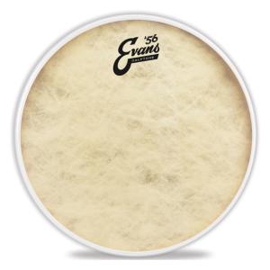EVANS TT18C7 '56 - Calftone ドラムヘッド