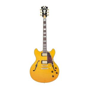 ESP GrassRoots G-FR-62GT Electric Guitar フォレスト グラスルーツ