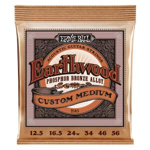 ERNIE BALL 2143 EARTHWOOD CUSTOM MEDIUM 125-56 PHOSPHOR BRONZE アコースティックギター弦