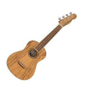 フェンダー Fender Zuma Exotic Concert Ukulele SPALTED WN コンサートウクレレ｜chuya-online