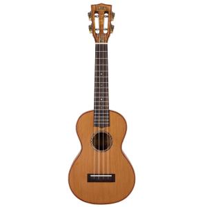 楽器用ピックアップ Schertler BASIK SET : 宮地楽器 ららぽーと立川立