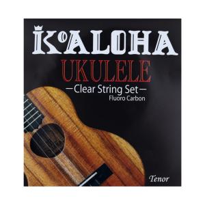 Worth Strings B8 ウクレレ弦 63 インチ ブラウン8弦 フロロカーボン