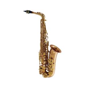 【美品】Chateau CAS-A70BK アルトサックス ケース付き 保証あり Chateau シャトー CAS-H70GL アルトサックス ゴールドラッカー仕上げ
