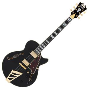 D'Angelico ディアンジェリコ Deluxe SS P-90 Satin Trans Winey