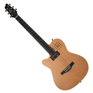 中古)GODIN / MULTIAC NYLON ENCORE (御茶ノ水HARVEST_GUITARS)(値下げ