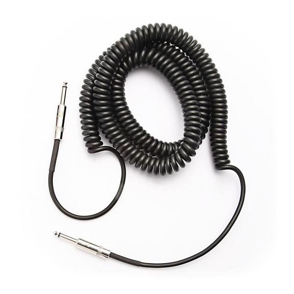 Planet Waves by D'Addario PW-CDG-30BK Black 30\” ギ...