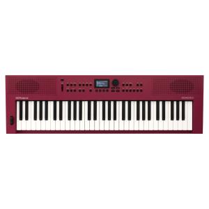 ローランド Roland GO:KEYS5 GT グラファイト ポータブルキーボード 61 