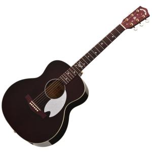 ProMartin EA350 RDS Acoustic Guitar プロマーチン エレクトリック