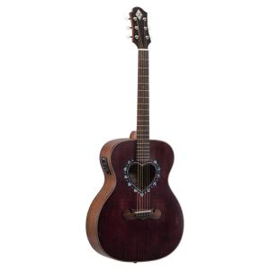 Ibanez（アイバニーズ） ギター エレアコ AC419E-OAW アートウッド