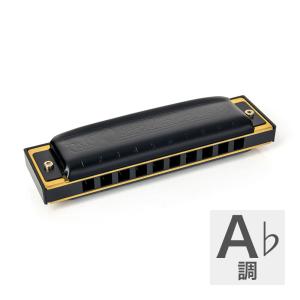 HOHNER ホーナー Pro Harp 562...の商品画像