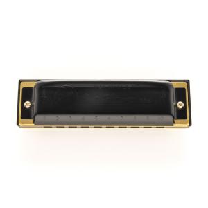 HOHNER ホーナー Pro Harp 56...の詳細画像3