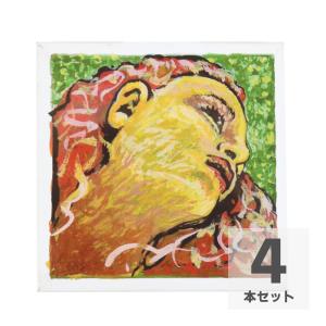EVAH PIRAZZI (エヴァピラッツィ) バイオリン弦 4/4 4弦セット【E線