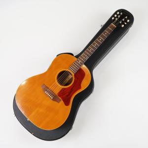 aNueNue Bird Guitar aNN-MY20 Solid Mahogany Top マホガニー単板