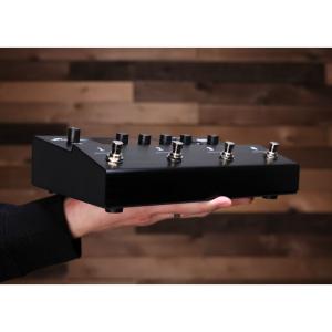 Fractal Audio Systems フ...の詳細画像3