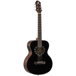 ピックアップ付ミニサイズギター 音音 DT1M/e Amazon | 音音 DT1M/e NTM ミニアコースティックギター エレアコ