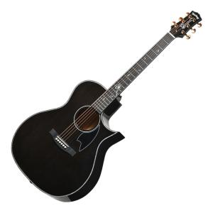Epiphone（エピフォン） Epiphone EL-00 PRO VS エレクトリック
