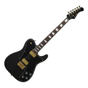 Fernandes エレキギター ソフトケース付き ZO Fernandes エレキギター用 ソフトケース フェルナンデス ZO-3専用