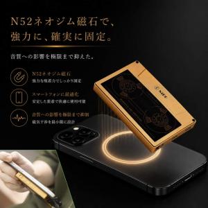 DACアンプ NiPO A200 Pro Go...の詳細画像5