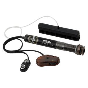 FURMAN P-1800 PF R J ファーマン パワーコンディショナー 安心の日本