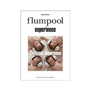 バンドスコア flumpool experience ヤマハミュージックメディアの商品画像