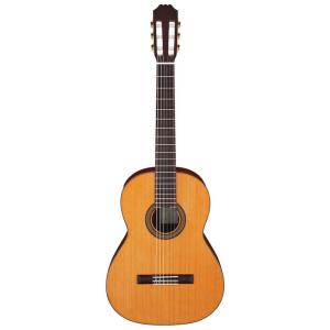 ARIA ACE-5C クラシックギター