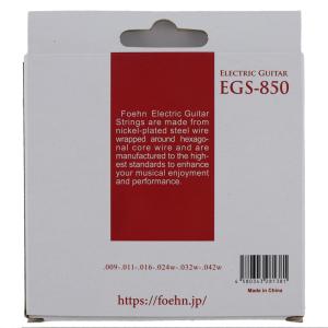 FOEHN EGS-850 Electric ...の詳細画像1