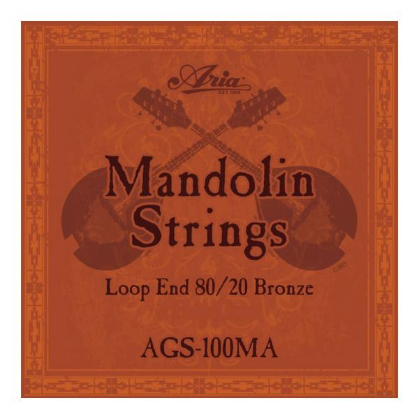 マンドリン 弦 アリア ARIA AGS-100MA Mandolin マンドリン弦