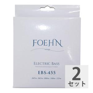 FOEHN EBS-455×2セット Electric Bass Strings Regular Light 5strings 5弦エレキベース弦 45-125