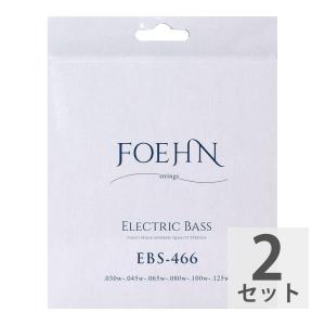 FOEHN EBS-466×2セット Electric Bass Strings Regular Light 6strings