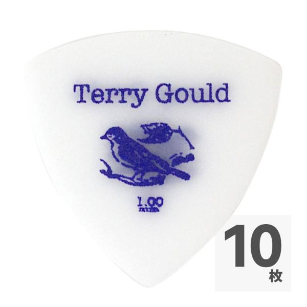 ギターピック 10枚 セット ピックボーイ 1.00mm GP-TG-RS/100 Terry Go...