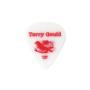PICKBOY GP-TG-TS/06 Terry Gould Sand Grip 0.60mm ギターピック×50枚｜chuya-online