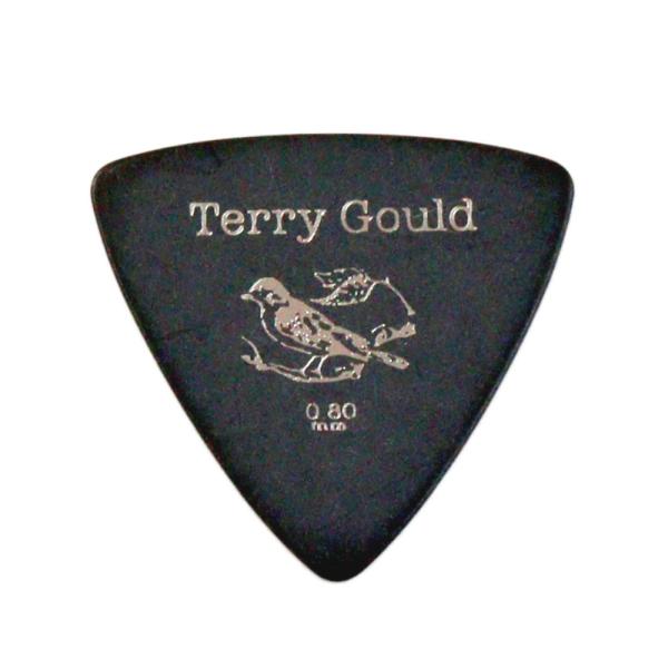 ギターピック 10枚 セット ピックボーイ 0.80mm GP-TG-RB/08 Terry Gou...