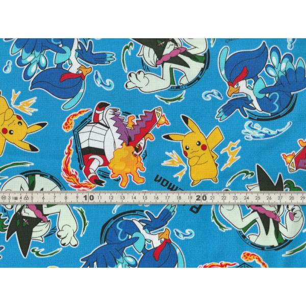 【送料無料】綿100% オックス生地 ポケットモンスター