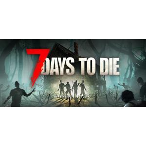 【Steamキー】7 Days to Die 2-Pack 7DTD 7D2D セブン デイズ トゥ ダイ PCゲーム コード｜chy