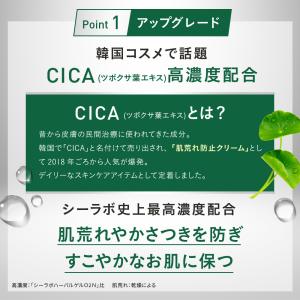 ドクターシーラボ ハーバルゲルEX 80g ゲ...の詳細画像2
