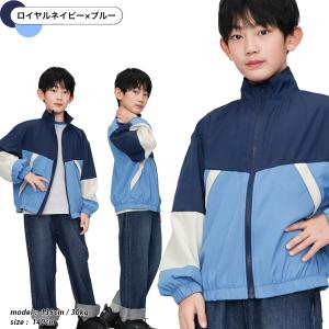 ウインドブレーカー フードなし ブルゾン ナイ...の詳細画像3