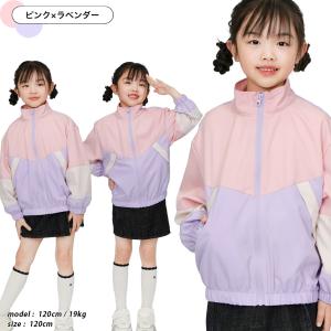 ウインドブレーカー フードなし ブルゾン ナイ...の詳細画像4