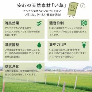 組み合わせ自由 置き畳 ユニット畳 82×82...の詳細画像2