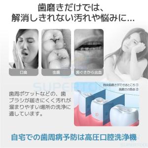 口腔洗浄器 ジェットウォッシャー 3段階調整 ...の詳細画像2