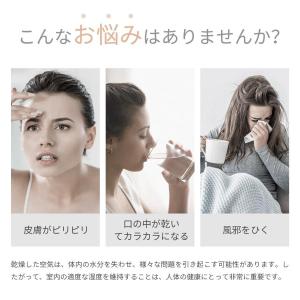 加湿器 超音波式 空気清浄機 4L大容量 3段...の詳細画像1