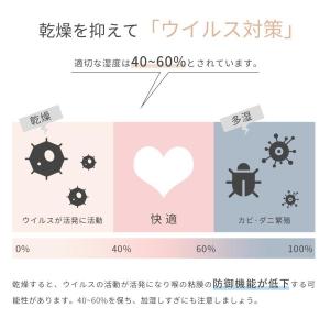 加湿器 超音波式 空気清浄機 4L大容量 3段...の詳細画像2