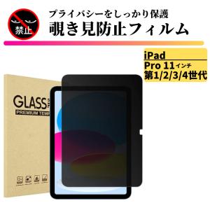 覗見防止フィルム iPad mini A17 Pro 2024 ペーパーライク マグネット