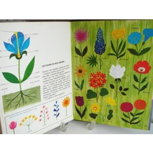 アラン・グレ絵本 LES PLANTES ヴィ...の詳細画像2