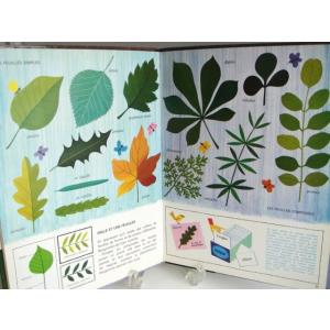 アラン・グレ絵本 LES PLANTES ヴィ...の詳細画像4