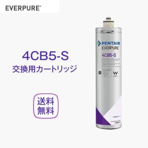 エバーピュア 4CB5 浄水器カートリッジ 業務用 : 厨房 キッチンプラス