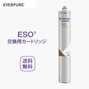 エバーピュア ESO7 浄軟水器カートリッジ 業務用