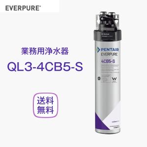 エバーピュア QL3-4CB5-S 浄水器 業務用 フィルターヘッド付