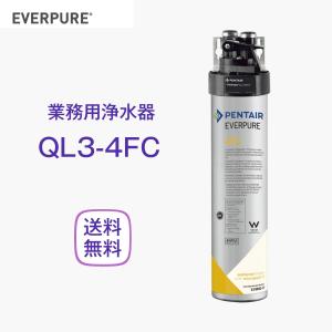 エバーピュア 4CB5 浄水器カートリッジ 業務用 : 厨房 キッチン